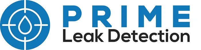 Prime Leak Detection Picture 1