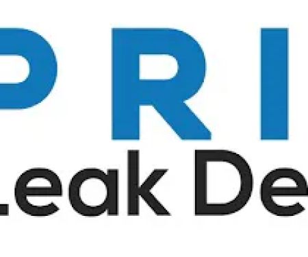 Prime Leak Detection