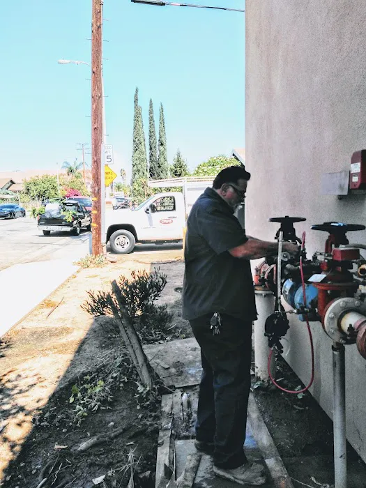 CityWide Plumbing Service and Backflow Testing Picture 6