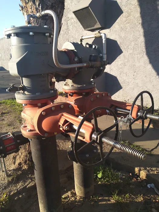 CityWide Plumbing Service and Backflow Testing Picture 10