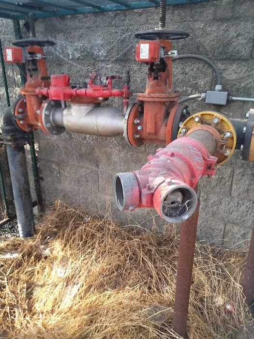 CityWide Plumbing Service and Backflow Testing Picture 3