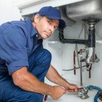 Premier Plumbing LA 24/7 ico