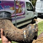 Robby's Rooter Inc.