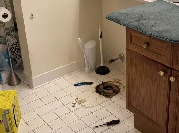Plumber's Kingdom Picture 1