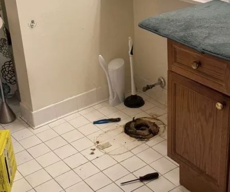 Plumber's Kingdom