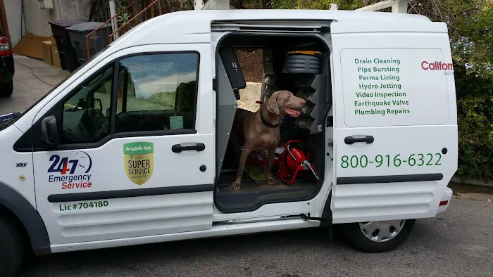 California Green plumbing Picture 1