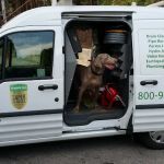 California Green plumbing