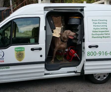 California Green plumbing