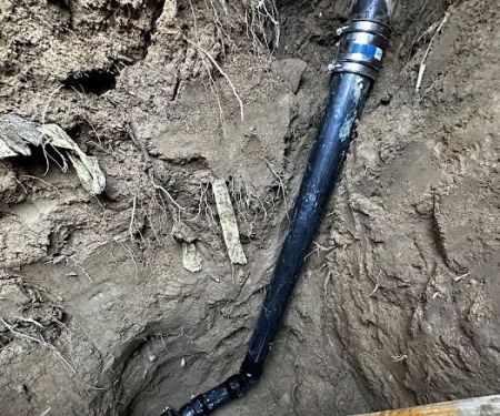 The Sewer Company