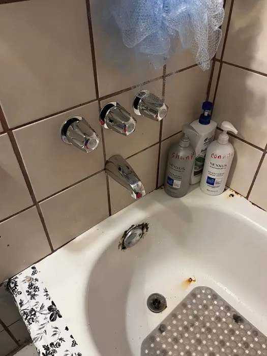 Just Rooter and Plumbing Picture 3
