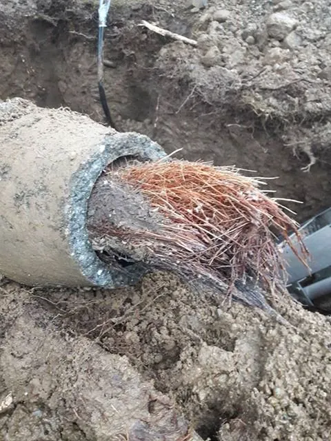 Pacific Plumbing Services Inc. Picture 1