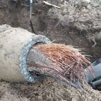 Pacific Plumbing Services Inc. ico