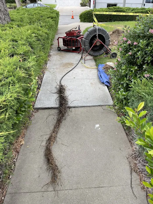 Drain Buster Rooter & Plumbing Picture 5