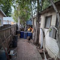 Angel's Plumbing, Llc ico