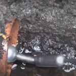 American Plumber