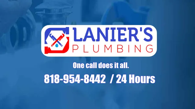 Lanier's Plumbing & Repipe Specialists Picture 5