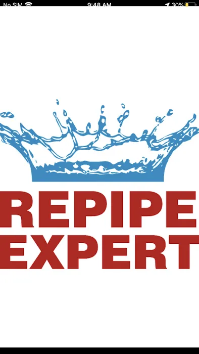 Repipe Expert Inc. Picture 3