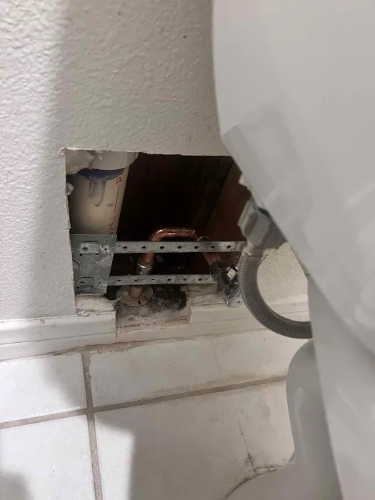 Most Valuable Plumber Picture 8