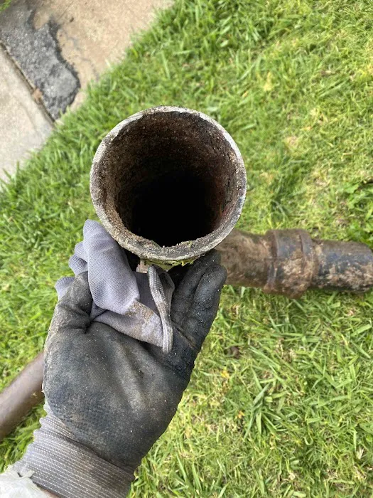 Most Valuable Plumber Picture 6