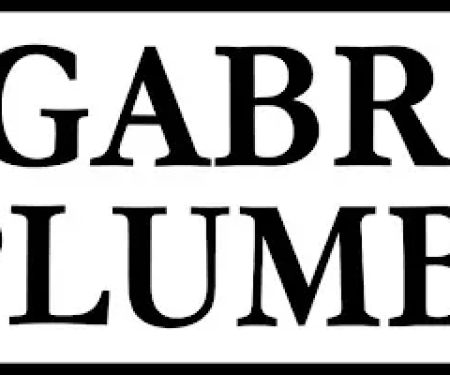 Gabriel Plumbing Company