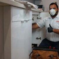 Drain Right Services ico