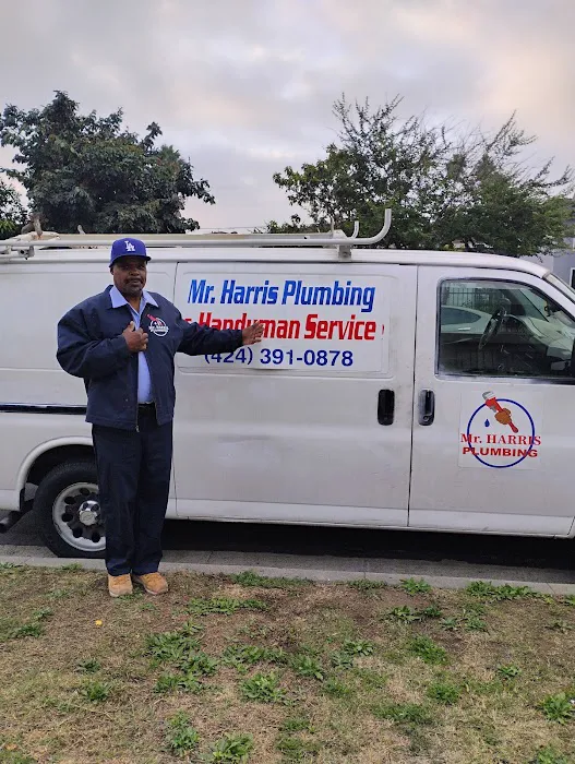 Mr. Harris Plumbing & Handyman Services Picture 9