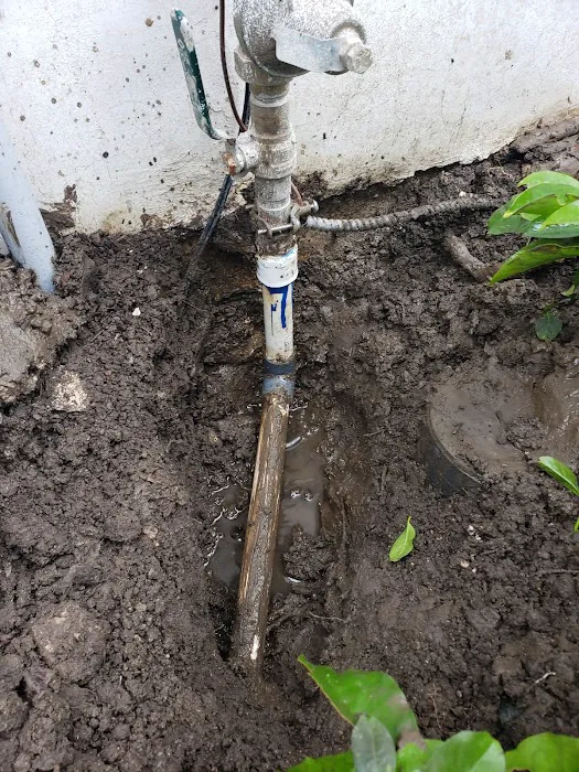 Plumber 2 The Rescue Picture 10