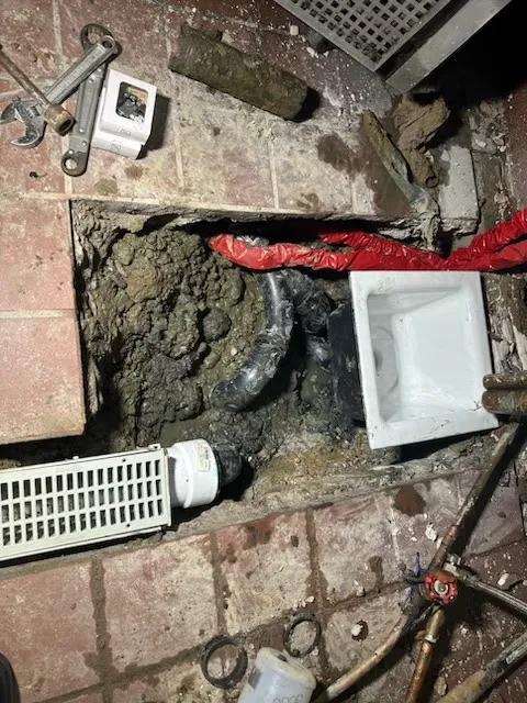 Professional Plumbing Services Inc. Picture 2