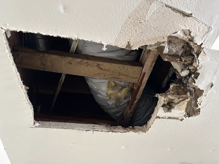 Professional Plumbing Services Inc. Picture 8