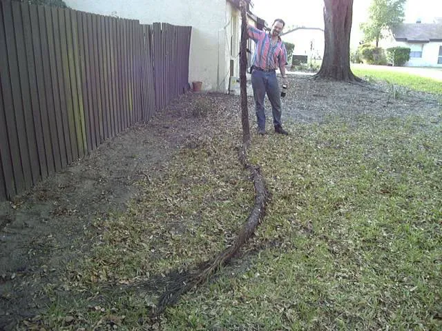 Kevin Shaw Plumbing, Inc. Picture 8