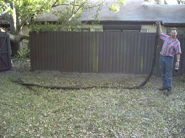 Kevin Shaw Plumbing, Inc. Picture 5