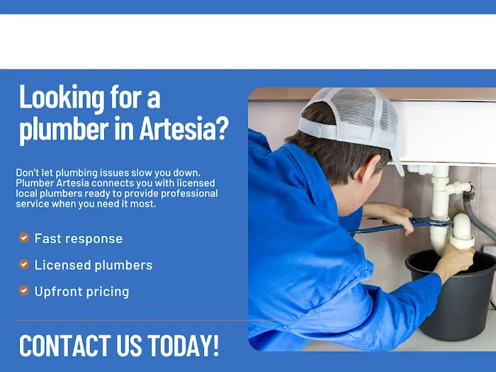 Plumber Artesia Picture 2