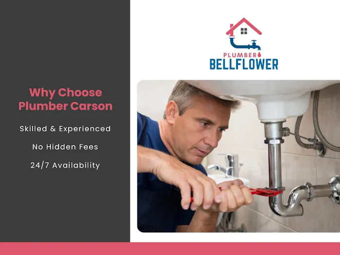 Plumber Bellflower Picture 5