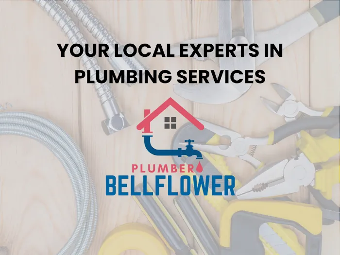 Plumber Bellflower Picture 6