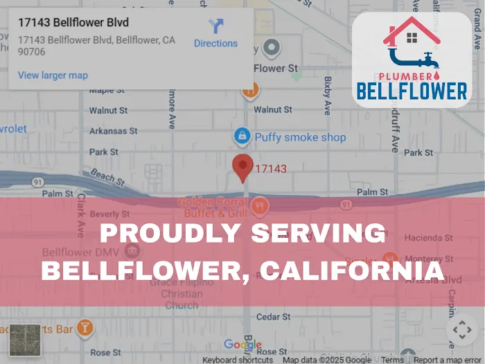 Plumber Bellflower Picture 10