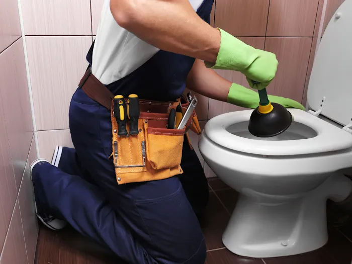 Plumber Bellflower Picture 7