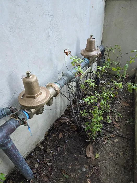 DX Plumbing and Hydro Jetting Inc Picture 10