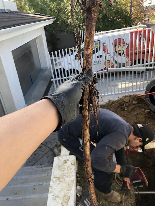 Red Hat Plumbing Picture 9