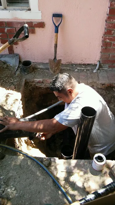 The Drain Defender Picture 2