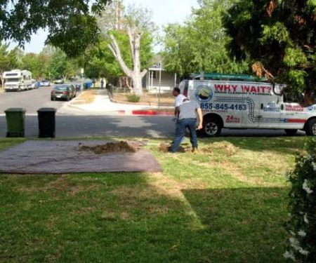 The Drain Defender