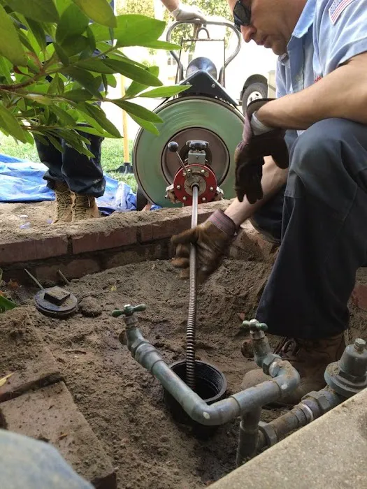 The Drain Defender Picture 4