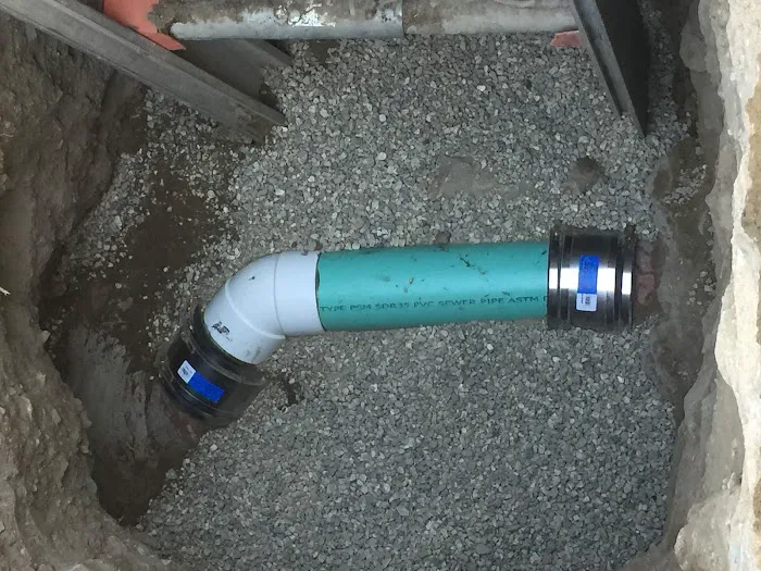 The Drain Defender Picture 10