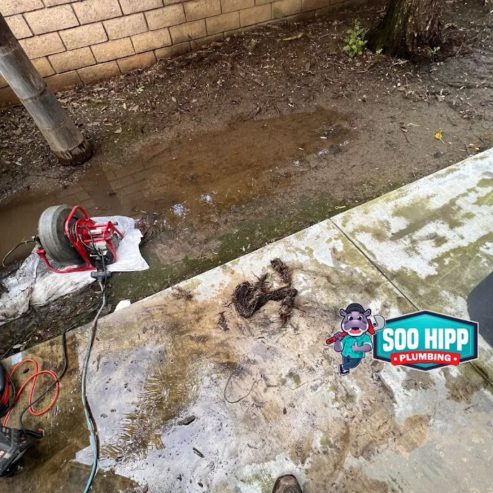 Soo Hipp Plumbing and Drains Picture 6