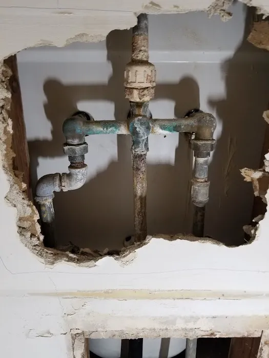 drainpros Picture 8