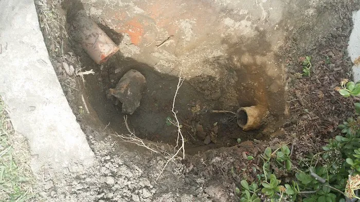 drainpros Picture 6