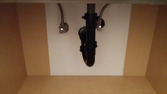 drainpros Picture 4