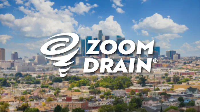 Zoom Drain Los Angeles Picture 2