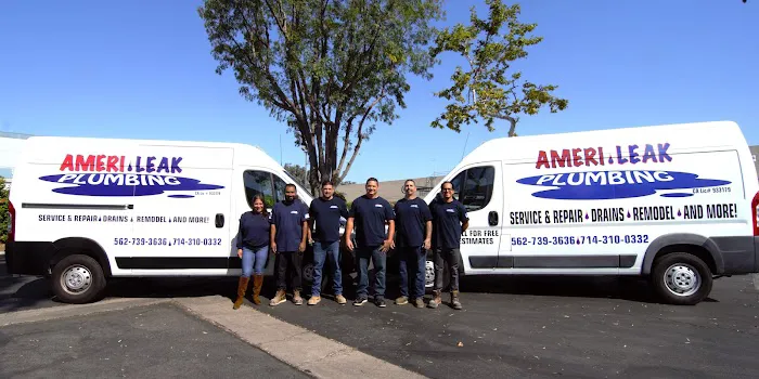 Amerileak Plumbing Picture 5