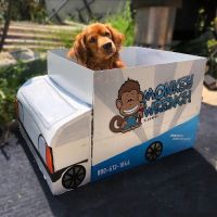 Monkey Wrench Plumbing, Heating, Air & Electric ico