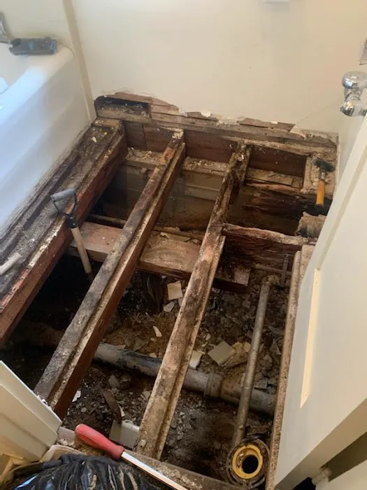 Ingenious Plumbing & Rooter Services Picture 3